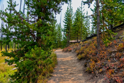 Celebrate National Public Lands Day