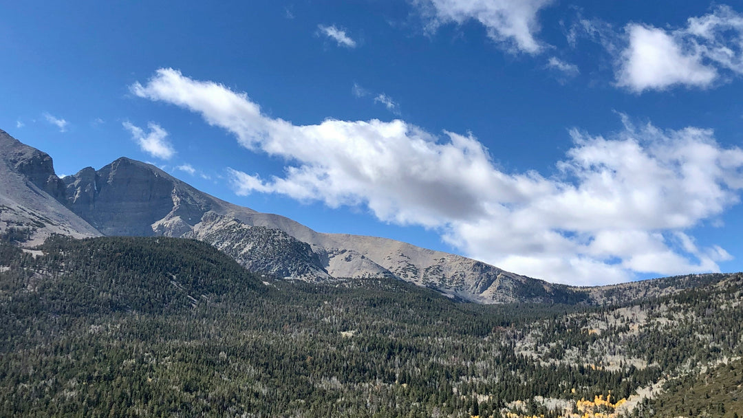 Explore America's Forgotten National Parks: Hidden Gems Off the Beaten Path