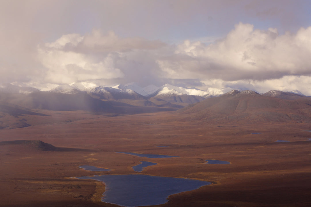 Unveiling the Untamed Beauty of Gates of the Arctic National Park