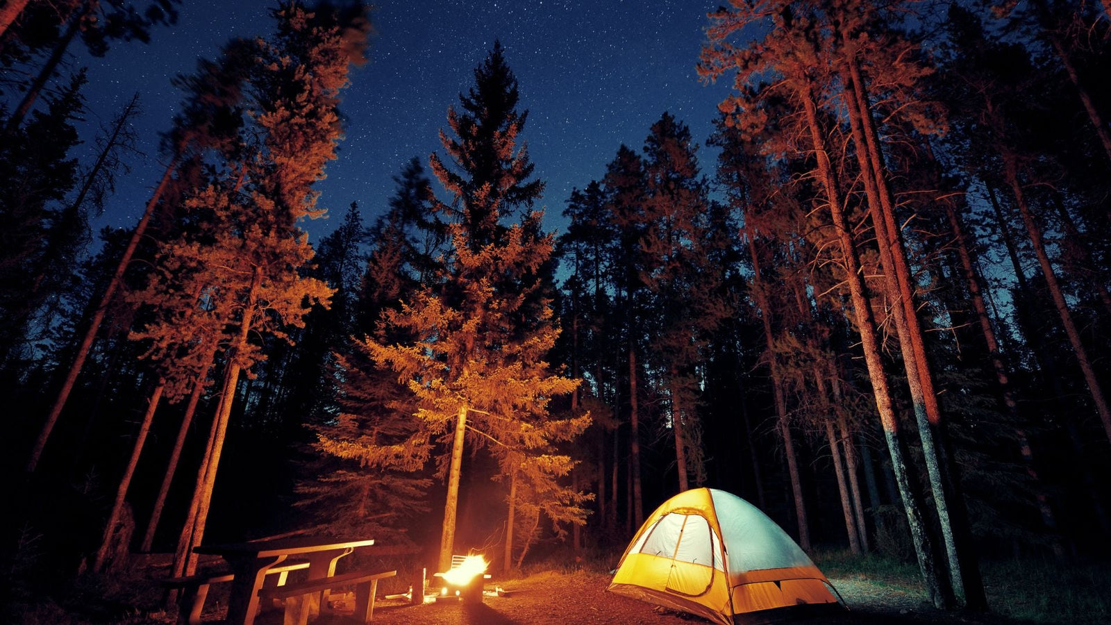 How Many Days Should You Spend in a National Park? Trip Planning Tips