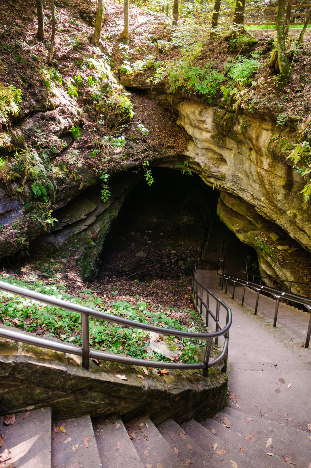 Journey Through Time and Nature at Mammoth Cave National Park