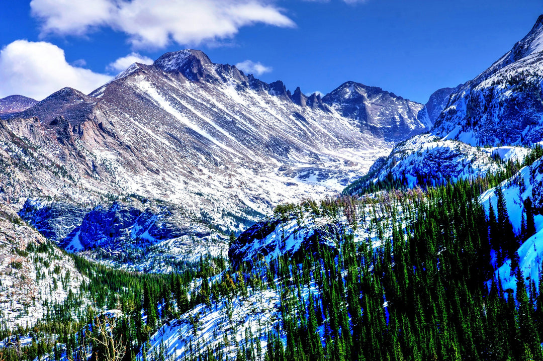 Uncover the Rich Wildlife of America’s National Parks: What to See and Where