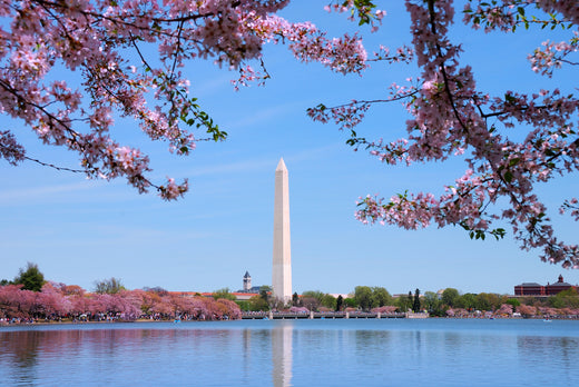 When Was the Washington Monument Built?