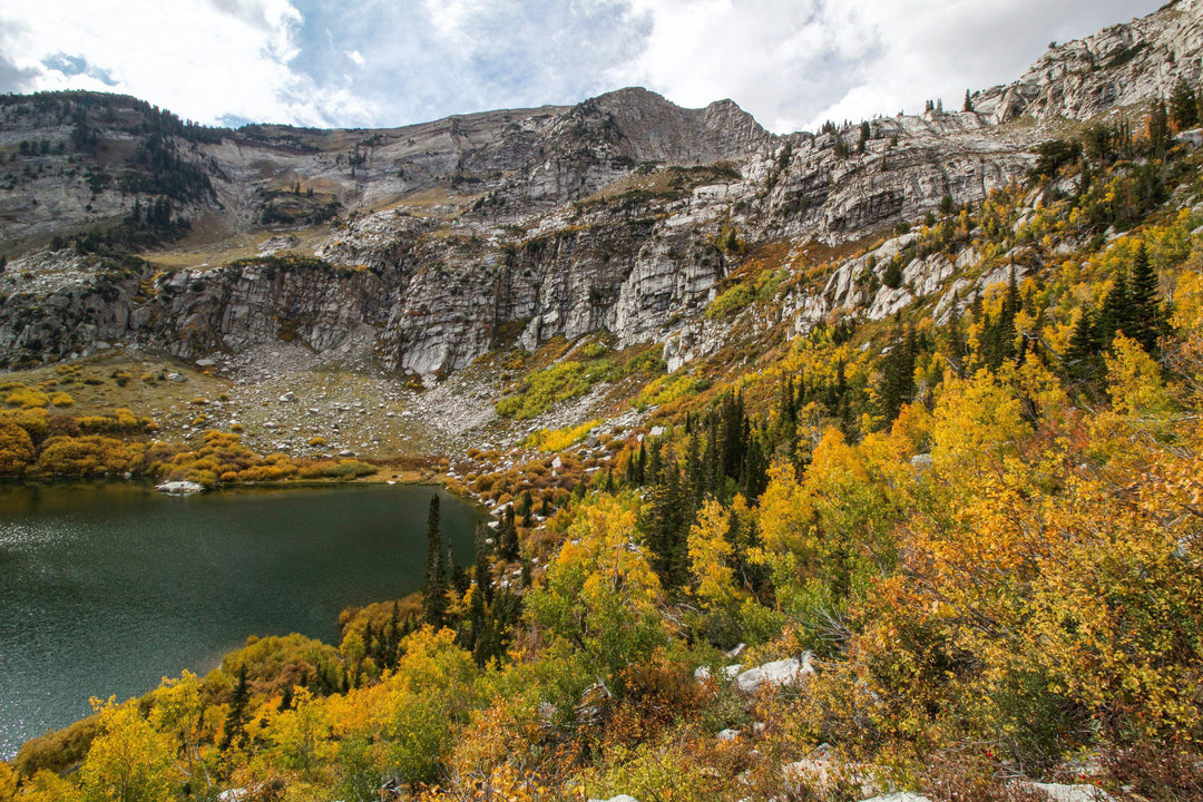 Spring vs. Fall: When’s the Best Time to Visit These 5 National Parks?