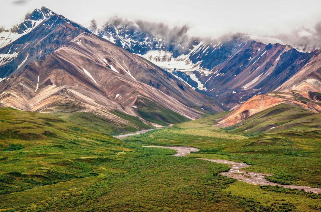 Bring Denali’s Spirit of Adventure Home with a Park Poster