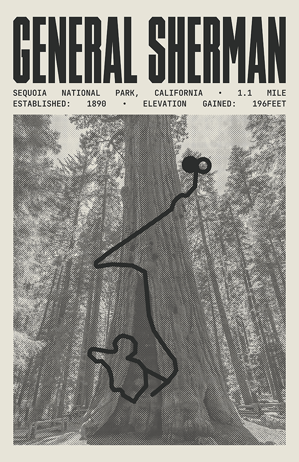 General Sherman Tree Trail Poster Sequoia National Park Prints