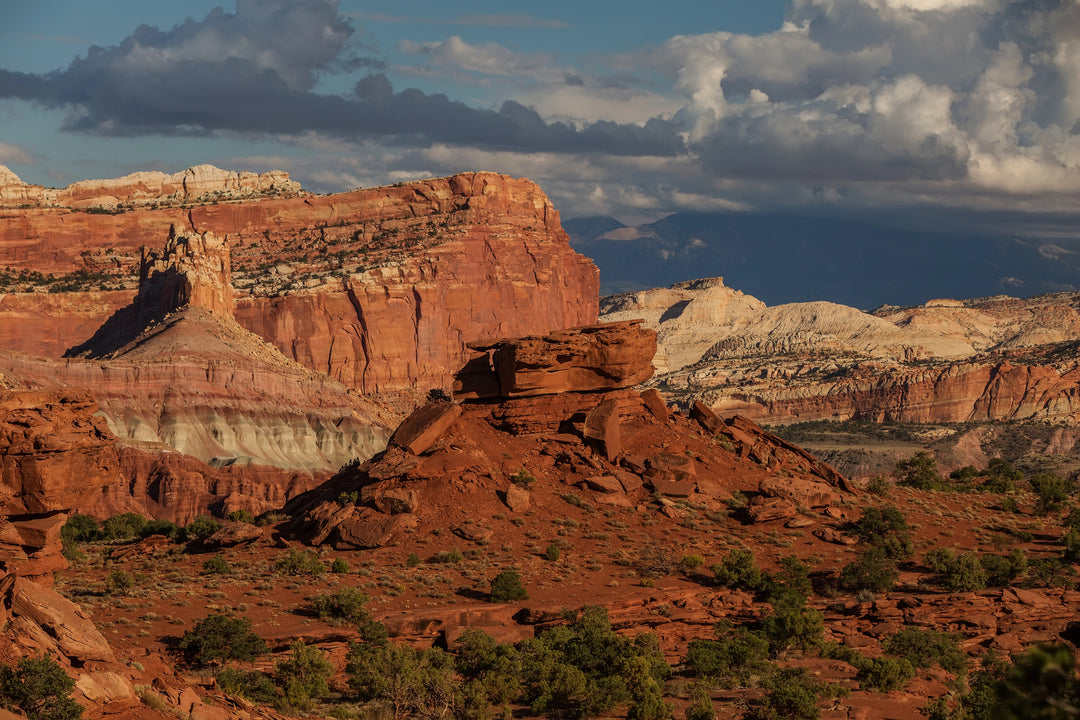 Explore the Hidden Gems of Capitol Reef National Park