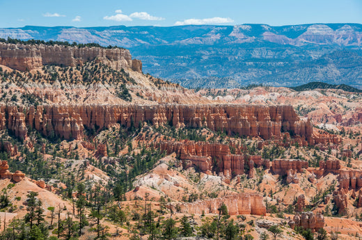 Discover the 14 Best U.S. National Parks for Your Next Adventure