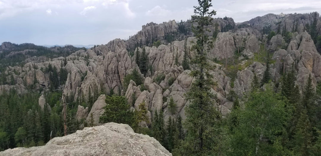 Discover the Wonders of Black Hills National Park