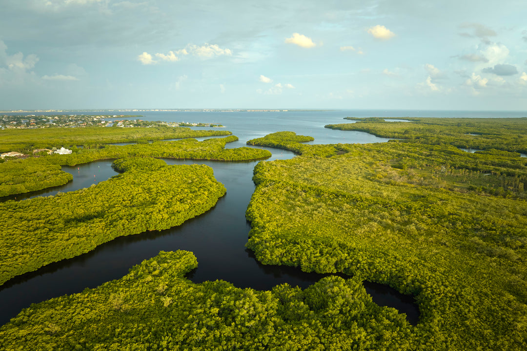 Journey Through Time and Nature at Everglades National Park