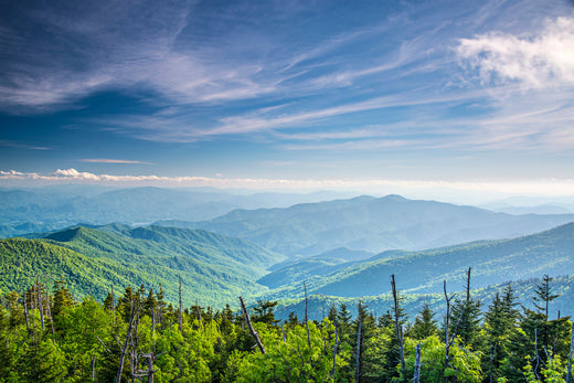 Exploring America's National Parks: Your Guide to Adventure