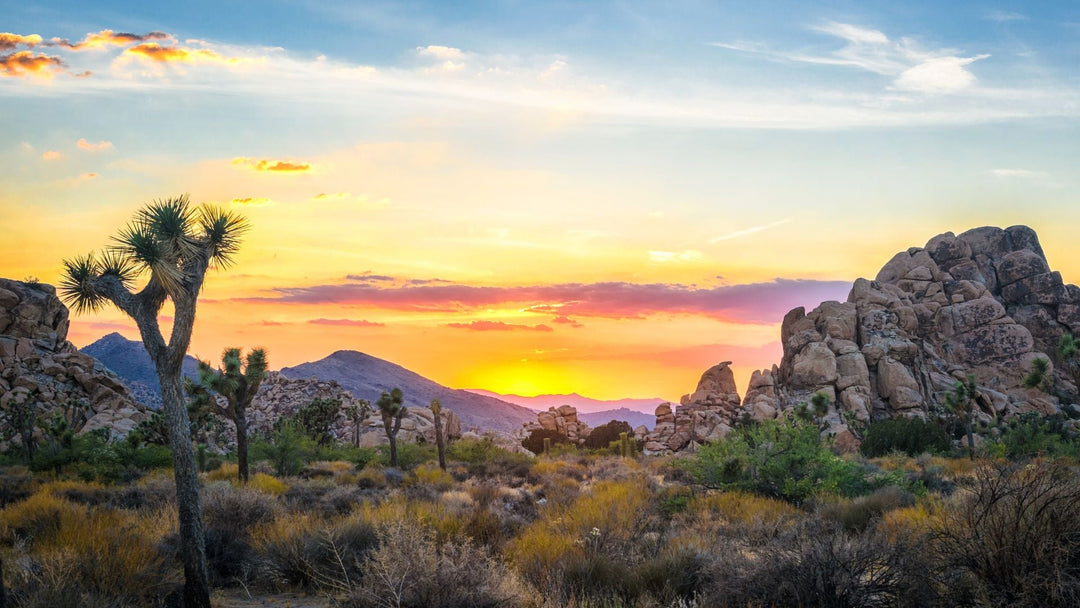 Exploring the Least Visited National Parks in America: Hidden Treasures to Discover