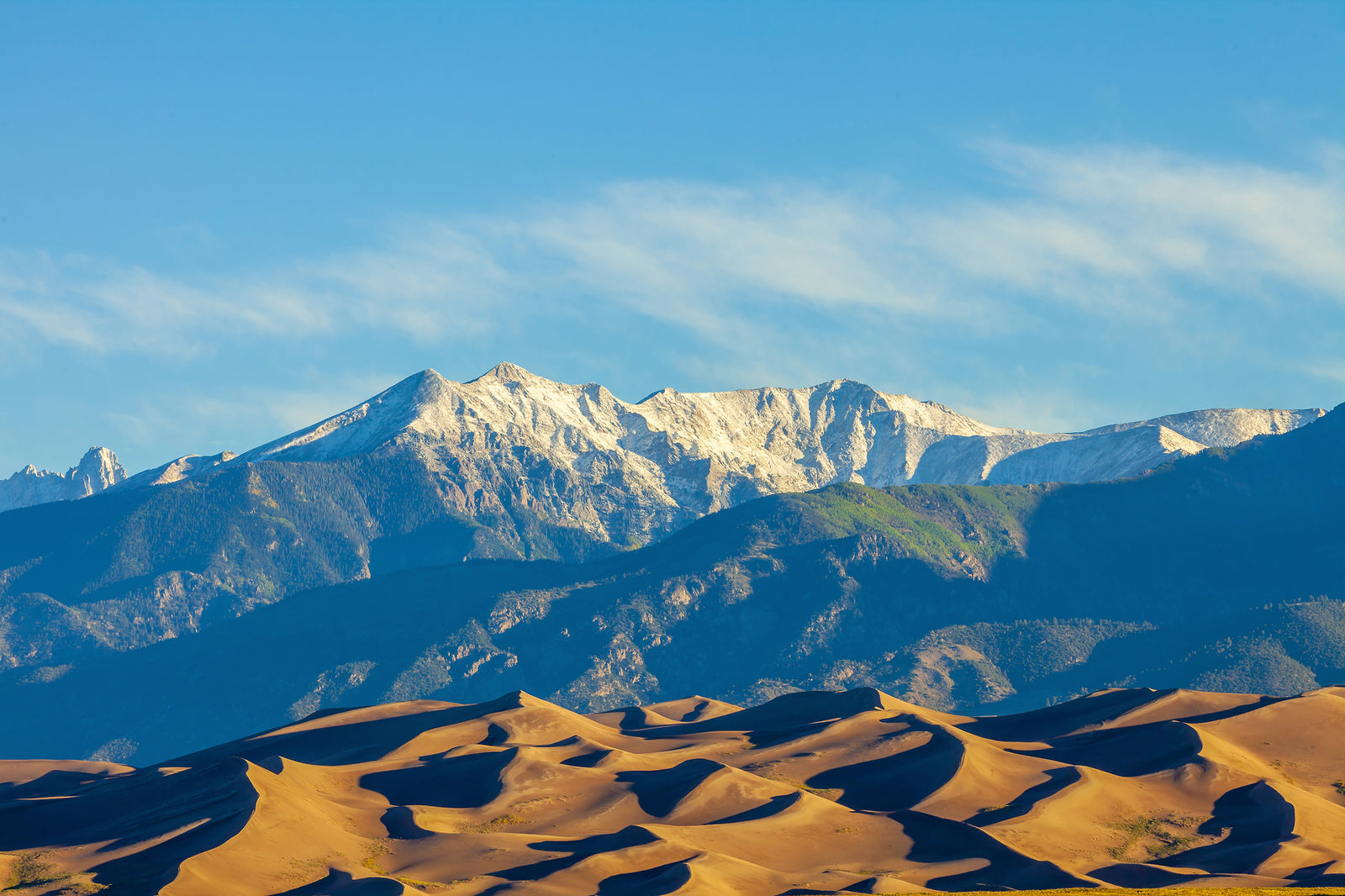 Discover the Hidden Gem of Colorado's Great Sand Dunes National Park