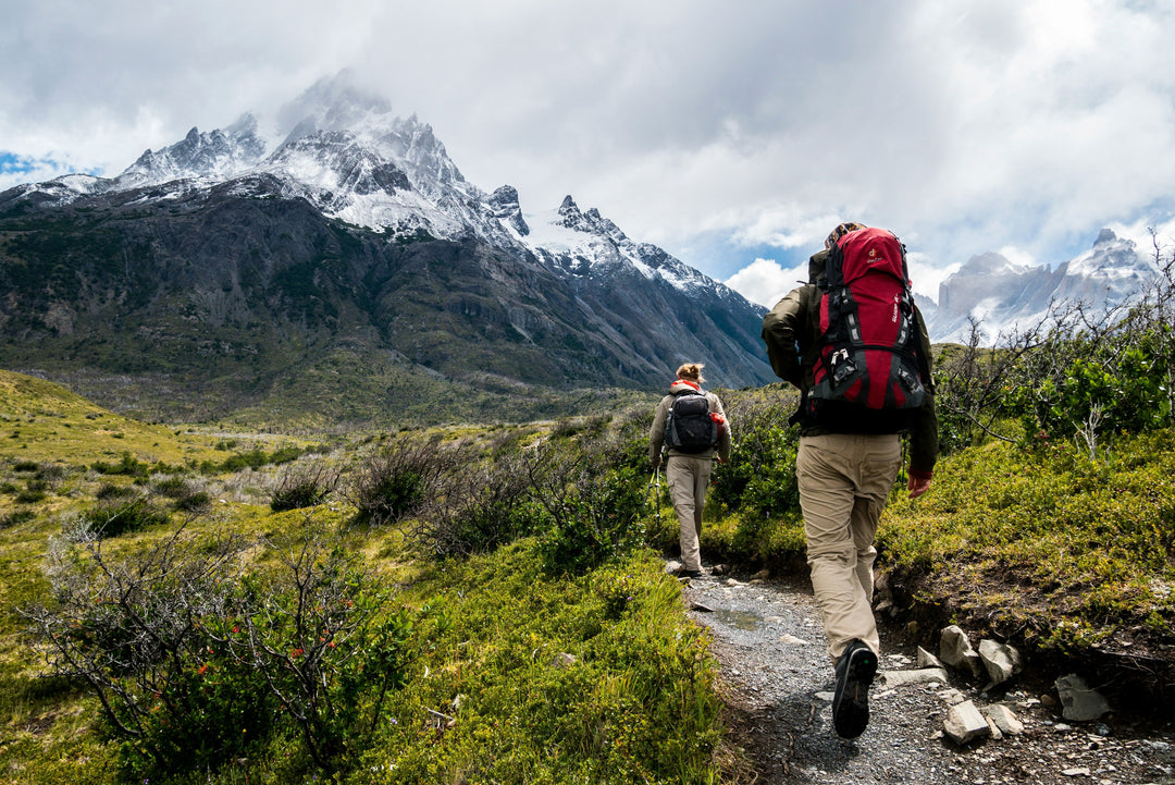 How Early Should You Arrive at a National Park? Entry Tips for Popular Parks