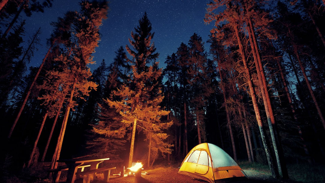 How Many Days Should You Spend in a National Park? Trip Planning Tips