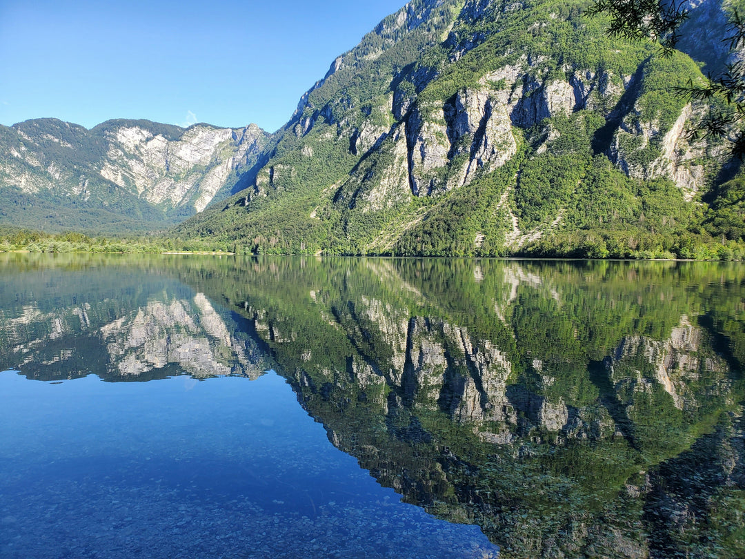 How to Choose the Best National Park Poster to Remember Your Trip