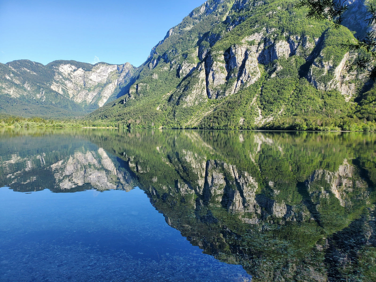 How to Choose the Best National Park Poster to Remember Your Trip