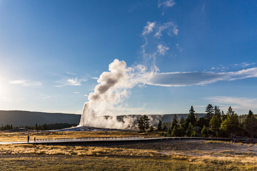 The Importance of National Parks and How You Can Help Protect Them