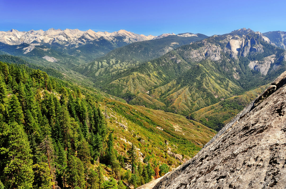 Explore Kings Canyon National Park: History, Heritage, and Nature