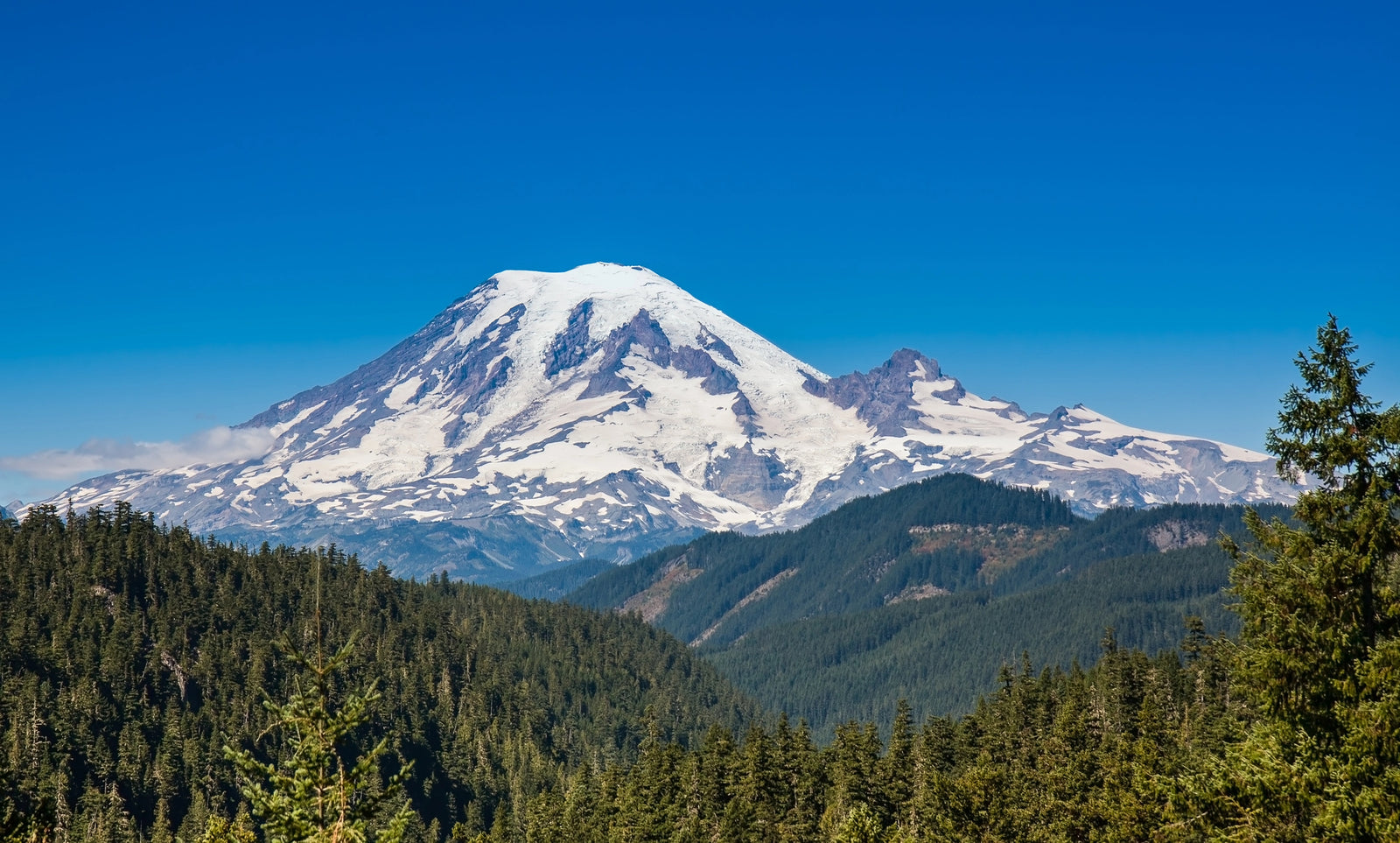 Experience the Untouched Beauty of Mount Rainier National Park