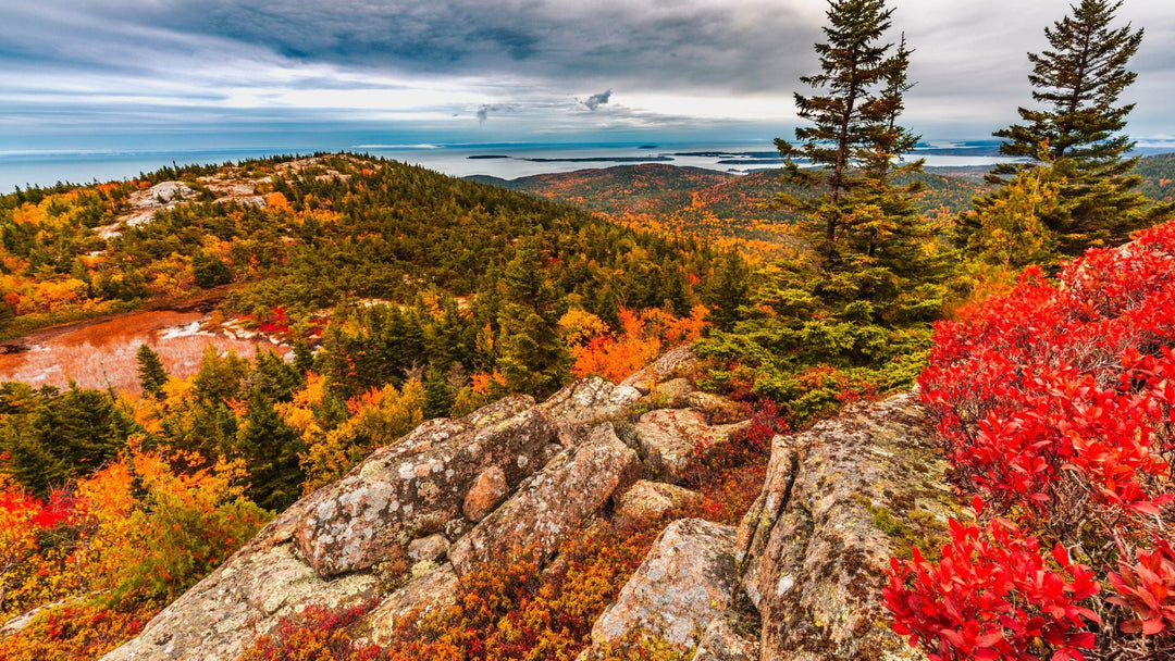 National Parks with the Most Unique Landscapes You Have to See to Believe