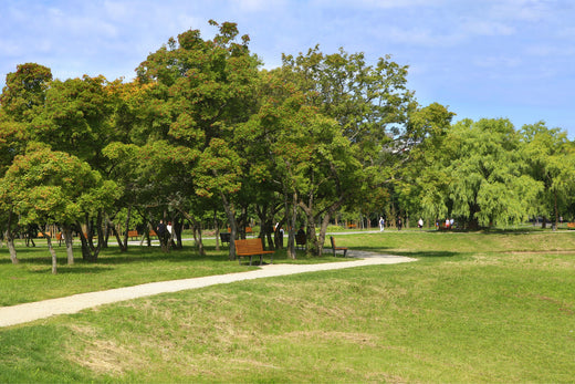 Parks and Recreation's Critical Role in Conservation