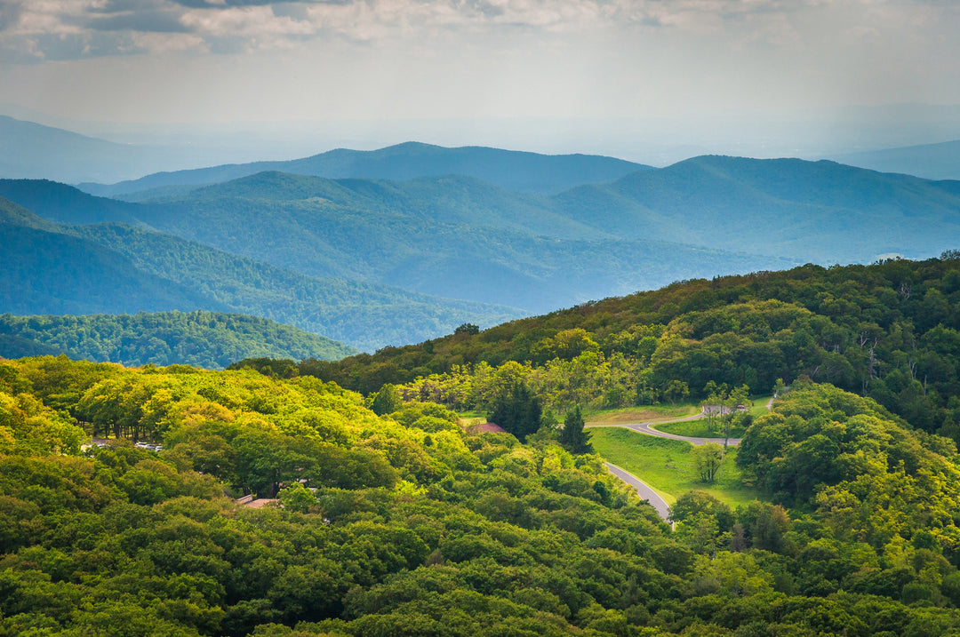 Discover Shenandoah National Park's Timeless Charm and Natural Wonders