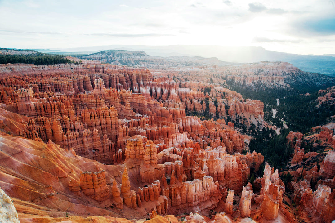 The Most Instagrammable National Parks and Where to Snap the Best Shots