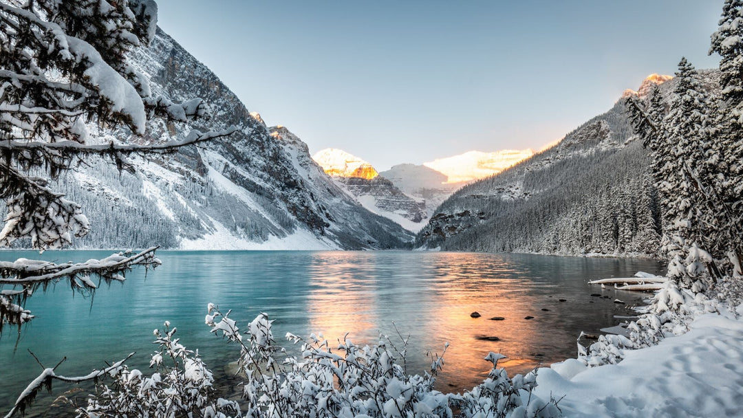 The Ultimate Guide to Camping in National Parks: Tips and Top Spots