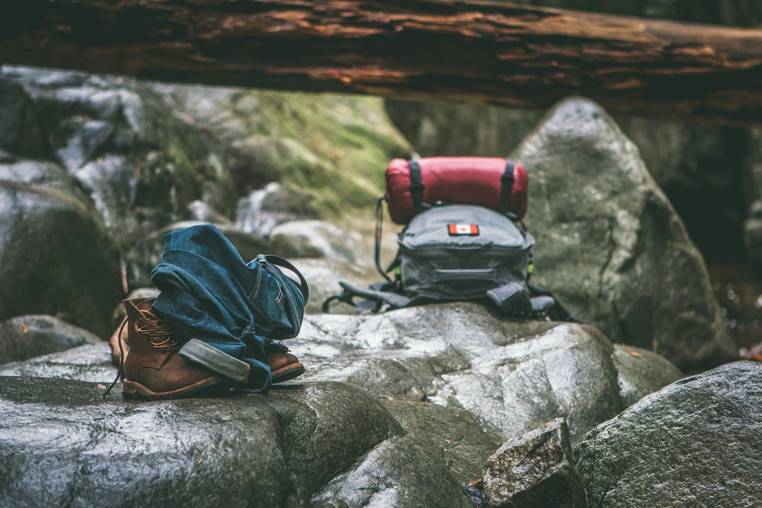 Tips for Visiting National Parks with Kids: What to Pack and Where to Go