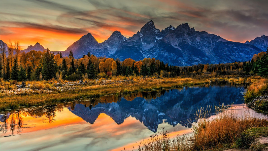 Which National Parks Require Reservations? What to Know Before You Go
