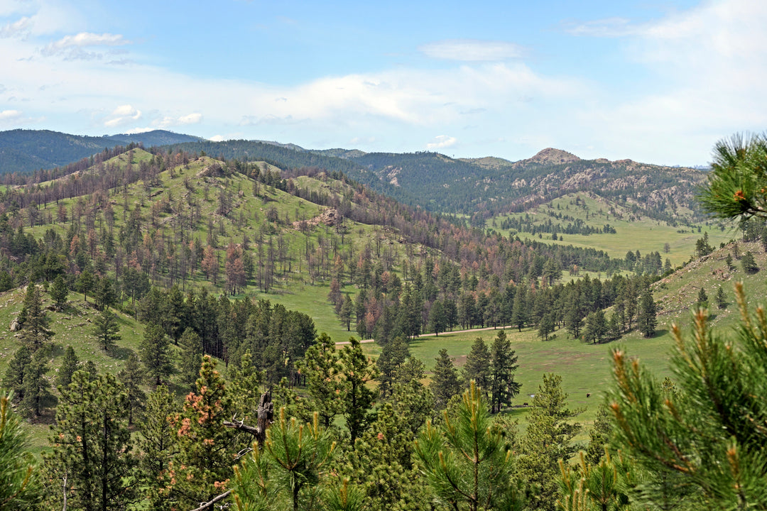 Journey into the Heart of Wind Cave National Park