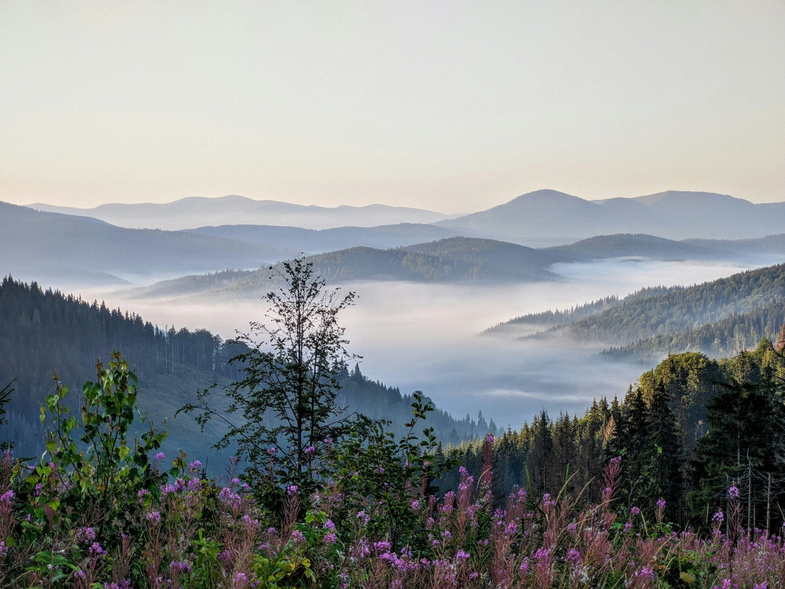 Great Smoky Mountains National Park: America’s Most Visited National Park—Here’s Why 