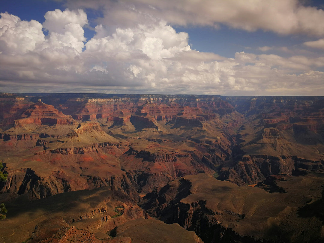 Grand Canyon National Park: More Than a View—Why Millions Visit Every Year