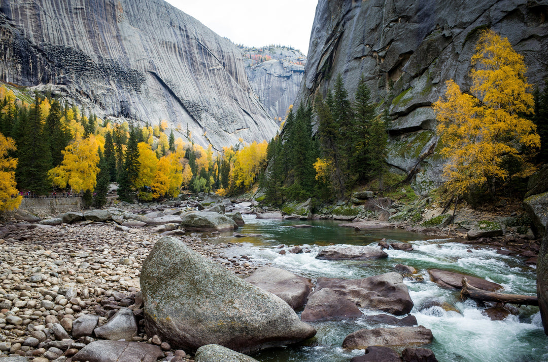 Meaningful Gifts for Nature Lovers Inspired by America’s National Parks