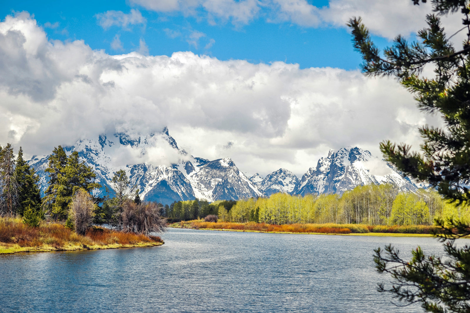 Best National Parks to Visit This Spring (and Why)