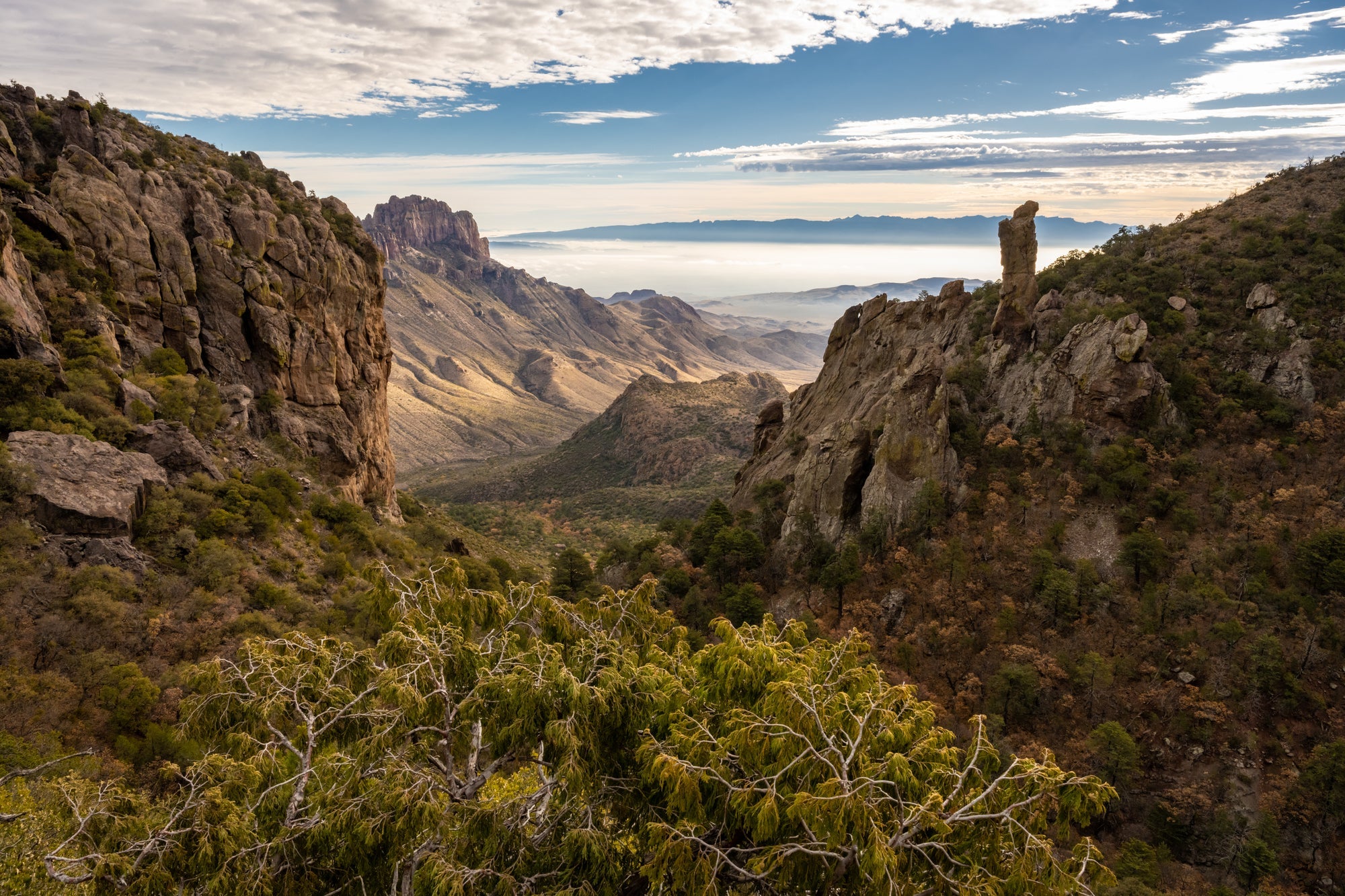 Big Bend National Park Posters