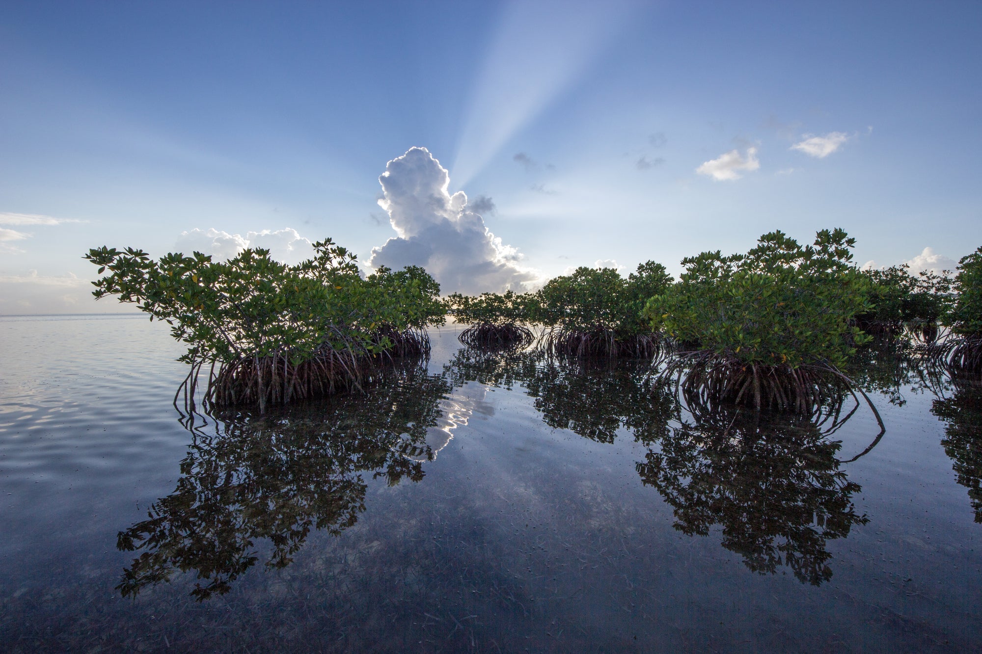 Biscayne National Park Posters