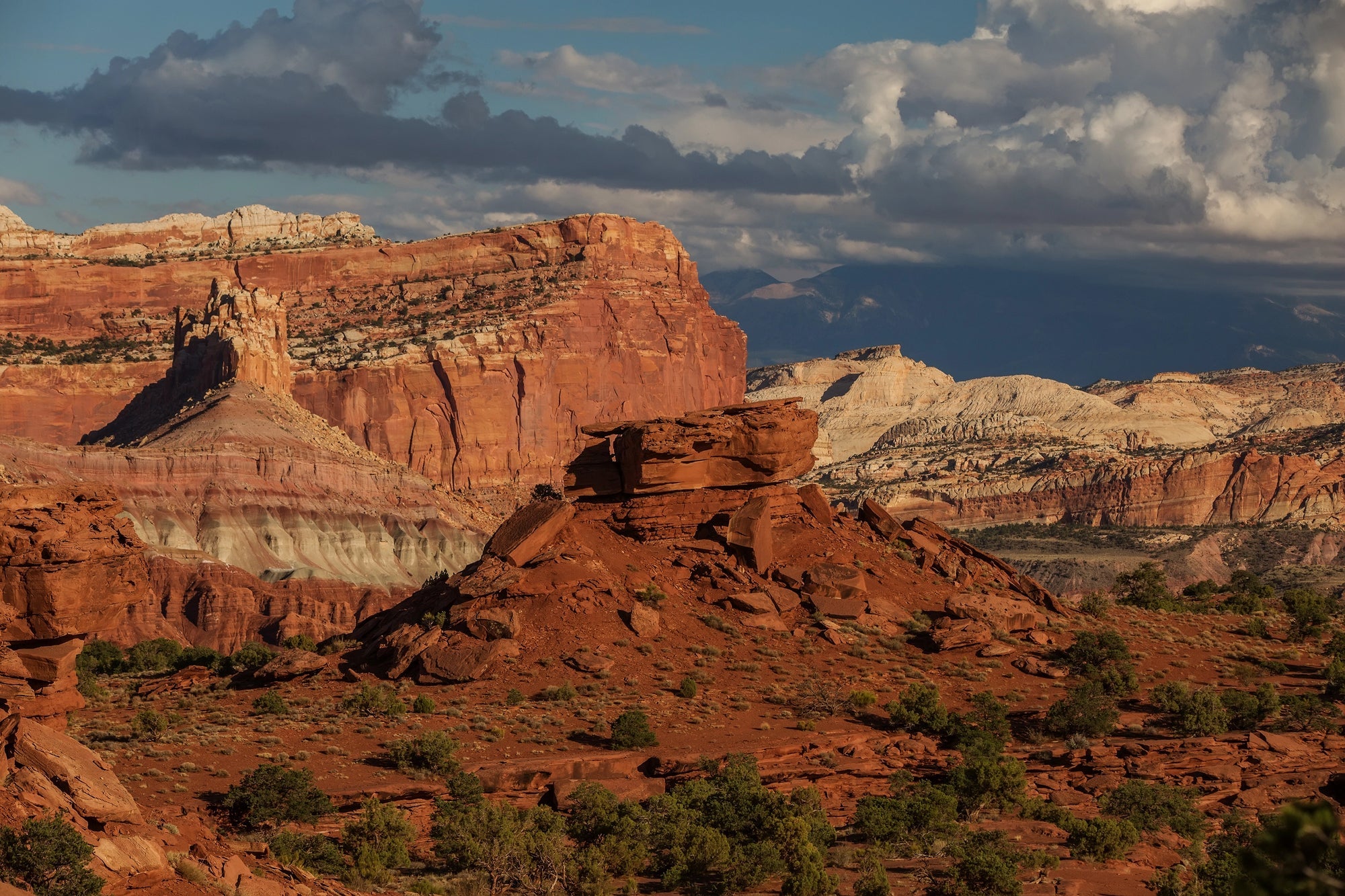 Capitol Reef National Park Posters