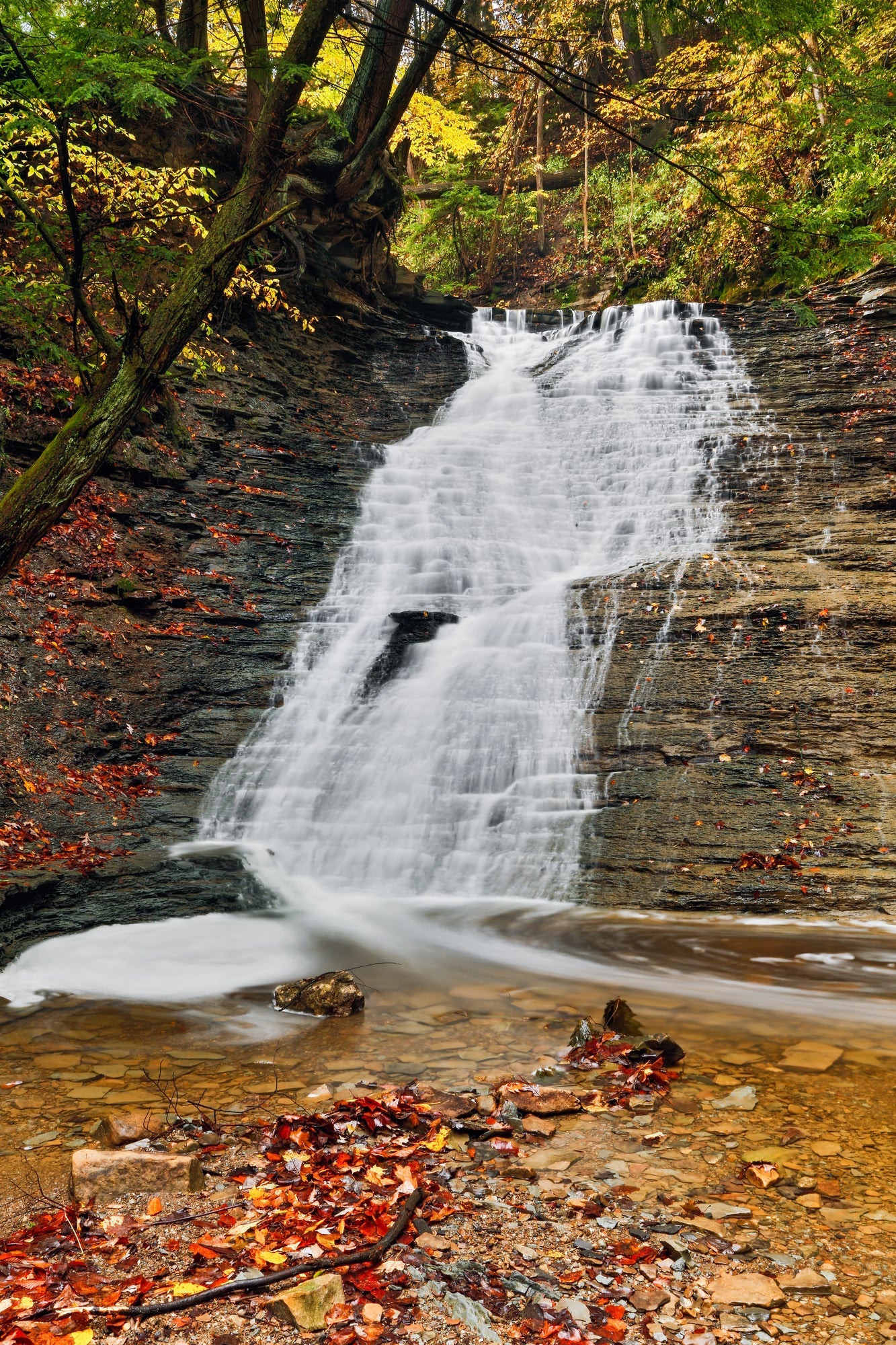 Cuyahoga Valley National Park Posters