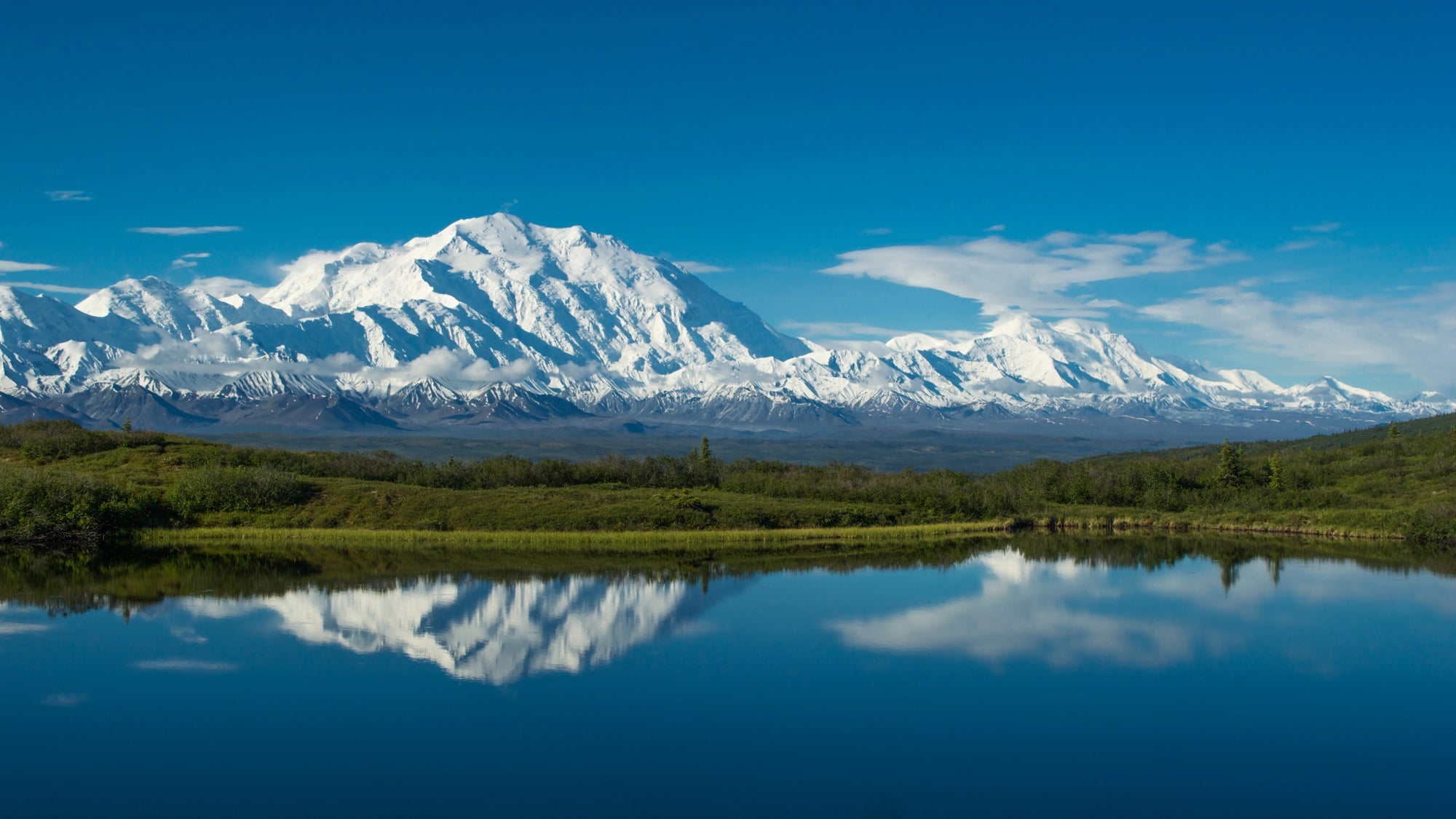 Denali National Park Posters