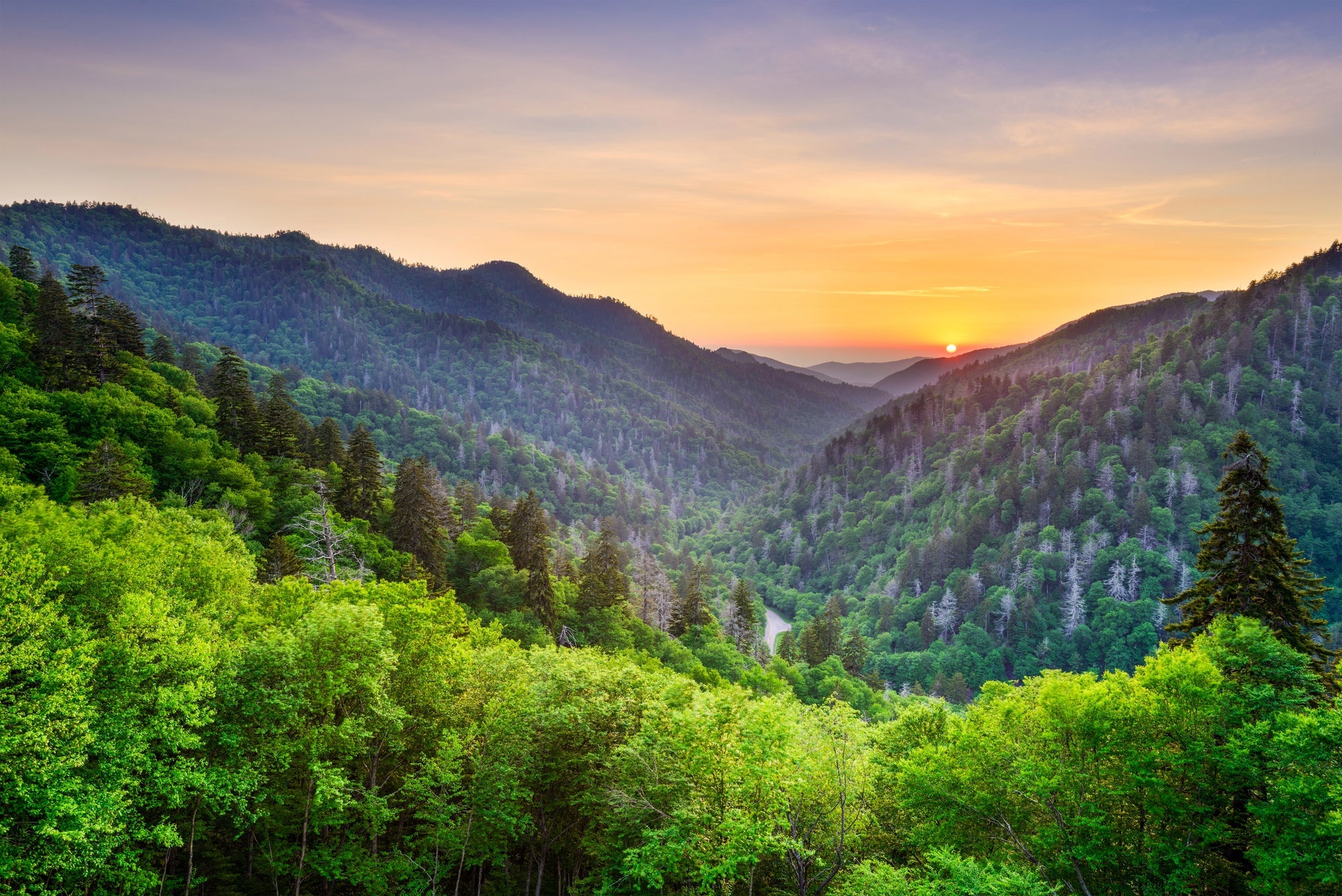 Great Smoky Mountains National Park Posters