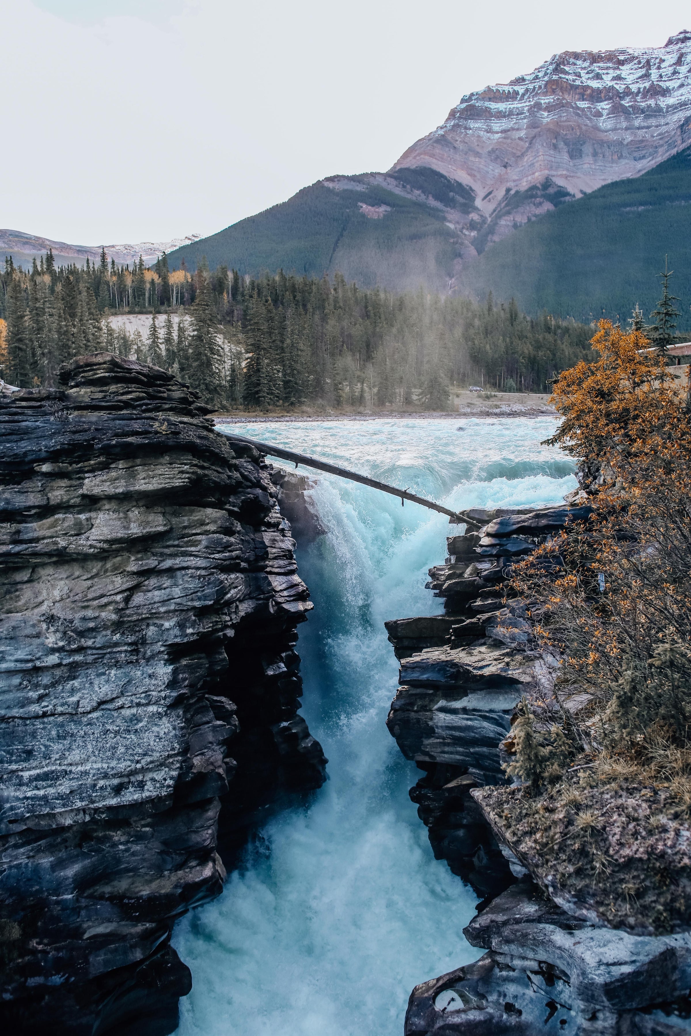 Jasper National Park Posters
