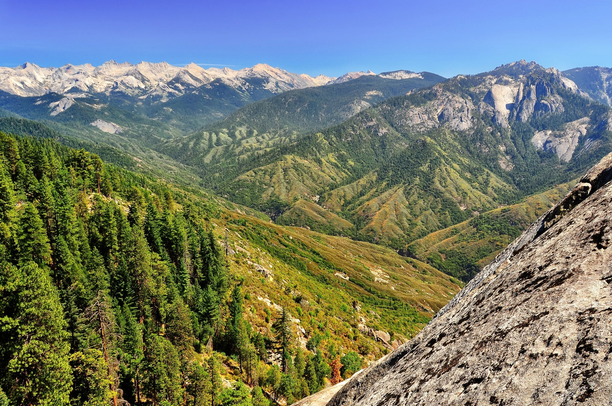 Kings Canyon National Park Posters