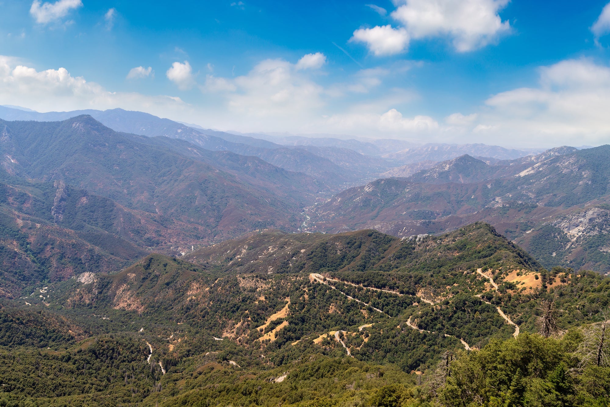 Sequoia National Park Posters