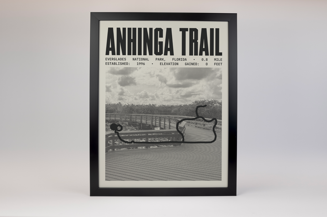 Anhinga Trail Poster | Everglades National Park Prints