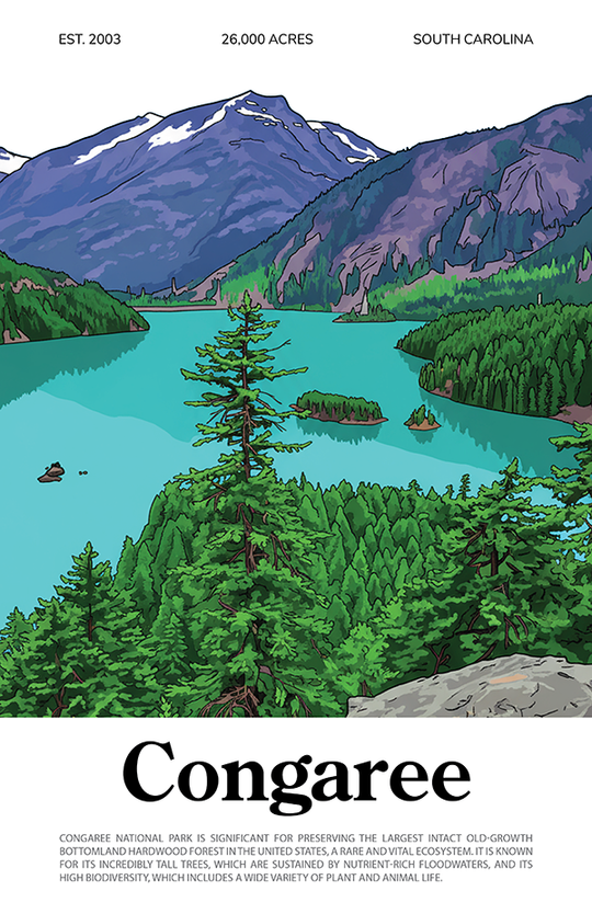 Congaree National Park Animated Poster