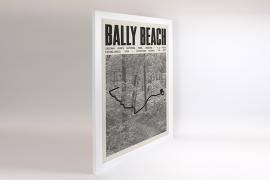 Bally Beach via Cowles Bog Trail Poster | Indiana Dunes National Park Prints