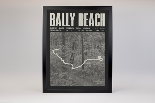 Bally Beach via Cowles Bog Trail Poster | Indiana Dunes National Park Prints