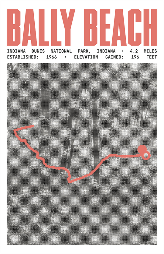 Bally Beach via Cowles Bog Trail Poster | Indiana Dunes National Park Prints